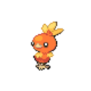 255 Torchic icon